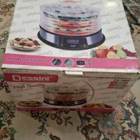 میوه خشک کن 500 وات دسینی