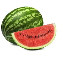 فروش هندوانه