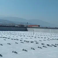 نصاب اسلب سنگ و سرامیک|خدمات پیشه و مهارت|رویان, |دیوار