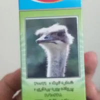 روغن شتر مرغ . اصل