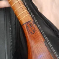 سه تار استاد سرابی