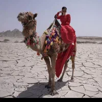 تور گردش گری. با سواری پژو|خدمات حمل و نقل|چابهار, |دیوار