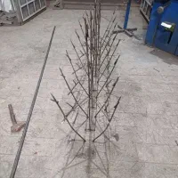 حفاظ های بوته ای و شاخ گوزنی co2|خدمات پیشه و مهارت|گلبهار, شهر جدید گلبهار|دیوار