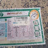 فرش چهار متری سالم سالم|فرش|رشت, کاکتوس|دیوار