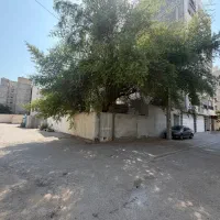 مشارکت-در-ساخت-دامایی-287-متر-جنوبی-دوبر