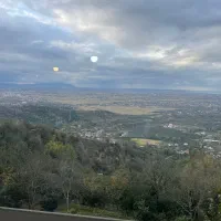 همکار جهت کار در حوزه مشاور املاک