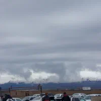 کپسول 12کیلوی پرپر