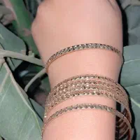 بدلیجات