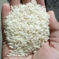 برنج هاشمی کوجنق