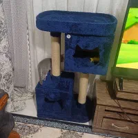 اسکرچر ۲ طبقه گربه