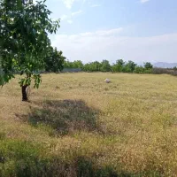 زمین-کشاورزی