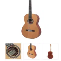 خدمات گیتار و سایر سازها