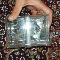 اکواریوم شیشه خم|ماهی|رباط‌کریم, شترخوار|دیوار