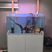 آکواریوم با لوازم کامل