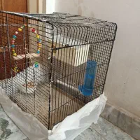 قفس بزرگ پرنده|لوازم جانبی حیوانات|بوکان, |دیوار