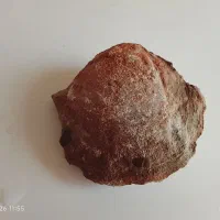 فروش سنگ فسیل قدمت دار