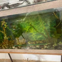 فروش فوری آکواریوم