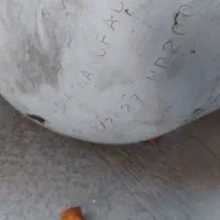 کپسول سی ان جی|قطعات یدکی و لوازم جانبی|خوانسار, |دیوار