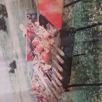 باربیکیو|اجاق گاز و لوازم برقی پختوپز|شیراز, قصرالدشت|دیوار