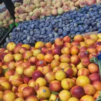 صندوقدار خانم برای هایپر میوه