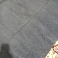 پالازموکت|موکت|اردبیل, |دیوار