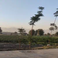 فروش زمین به مساحت 1000متر