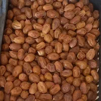 خرما زاهدی وبریم