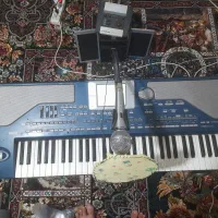 ارگ پیا۸۰۰|پیانو، کیبورد، آکاردئون|قزوین, |دیوار