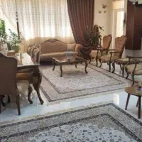 پونک92-متر-غرق-نور-آفتاب-سردار-جنگل-جنوب-بهار