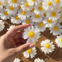 شمع سازی لیوسا|صنایع دستی و سایر لوازم تزئینی|مشهد, شفا|دیوار