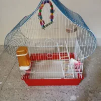 قفس عروس هلندی
