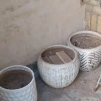 گلدان