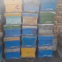 فروش کندو خالی