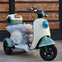 موتور سه چرخه برقی نایسی کوگو وینر سه چرخ برقی