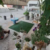 واگذاری کافه نواب ۷۰ متر با ۲۰۰ متر تراس  دنج|اجارهٔ مغازه و غرفه|تهران, اسکندری|دیوار