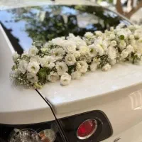 دسته گل عروس و ماشین عروس قیمت مناسب باکس و جام گل|گل و گیاه طبیعی|شیراز, سایت اداری|دیوار