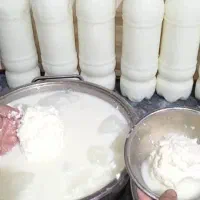 دوغ و کره محلی