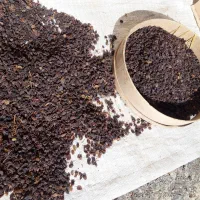 کشمش فروشی|خوردنی و آشامیدنی|قزوین, |دیوار