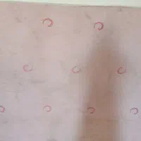 تخت تشک