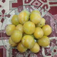 فروش مقداری الو خوانساری درجه‌ ۱