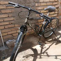 دوچرخه اساک ۲۴