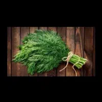شوید بومی کیلویی و دسته ای|خوردنی و آشامیدنی|اصفهان, راران|دیوار