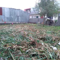 ۲۶۷ متر زمین مسکونی سند تکبرگ پل طالشان|فروش زمین و ملک کلنگی|رشت, شهرک احمد خمینی|دیوار