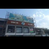 داربست فلزی شاهان، شبانه روزی|خدمات پیشه و مهارت|کرج, شهرک صدف|دیوار