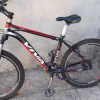 ویوا ۲۶ اصل