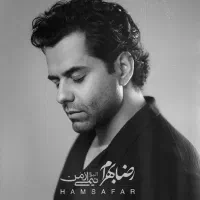 رضا بهرام ردیف ۵ دو عدد