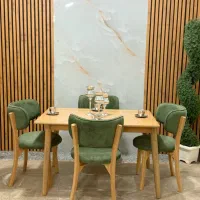 ناهار خوری مبل پاسارگاد (بدون پیش پرداخت ۲۴ماهه)