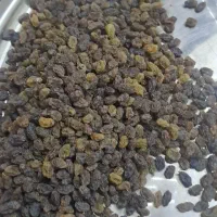 کشمش،سایه خشک پاک شده