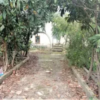 مشارکت در ساخت آپارتمان 5 طبقه و پیلوت