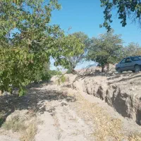 زمین شهر نراق|فروش زمین و ملک کلنگی|دلیجان, |دیوار